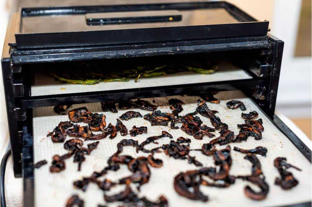 How Does a Food Dehydrator Work? Handy Pantry Mate
